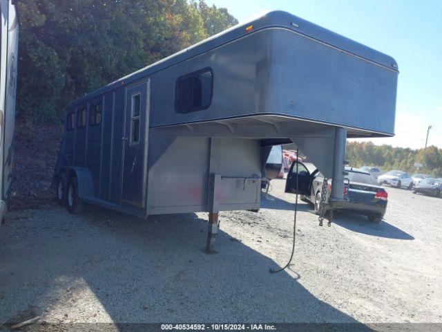  Salvage White Water Horse Trailer