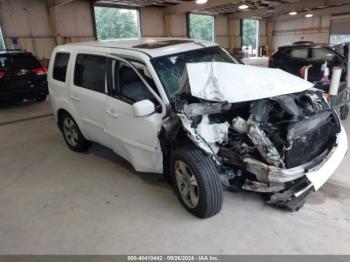  Salvage Honda Pilot