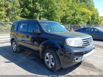  Salvage Honda Pilot