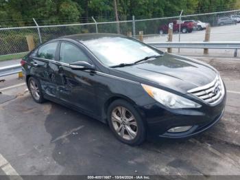  Salvage Hyundai SONATA