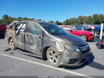  Salvage Honda Odyssey