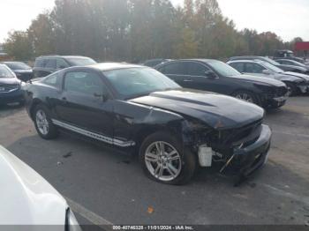  Salvage Ford Mustang