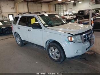  Salvage Ford Escape