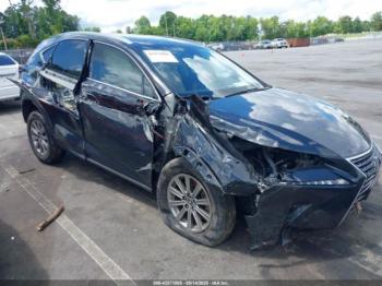  Salvage Lexus NX