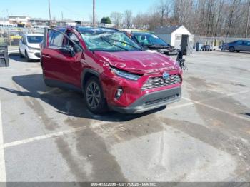  Salvage Toyota RAV4