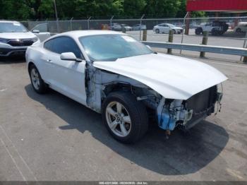  Salvage Ford Mustang