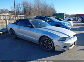  Salvage Ford Mustang