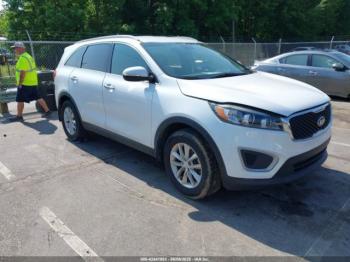  Salvage Kia Sorento