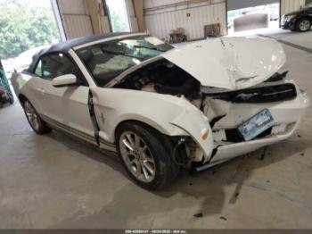  Salvage Ford Mustang
