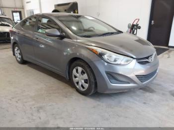  Salvage Hyundai ELANTRA