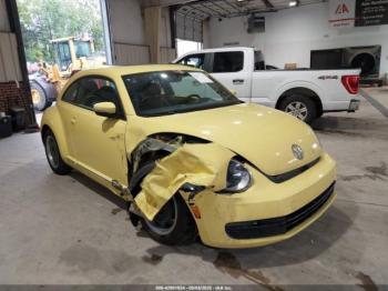  Salvage Volkswagen Beetle