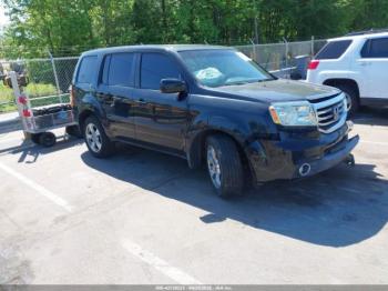  Salvage Honda Pilot