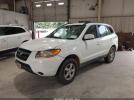 Hyundai SANTA FE Gls Image 2