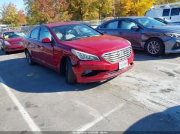  Salvage Hyundai SONATA