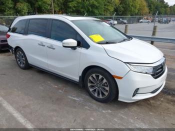  Salvage Honda Odyssey