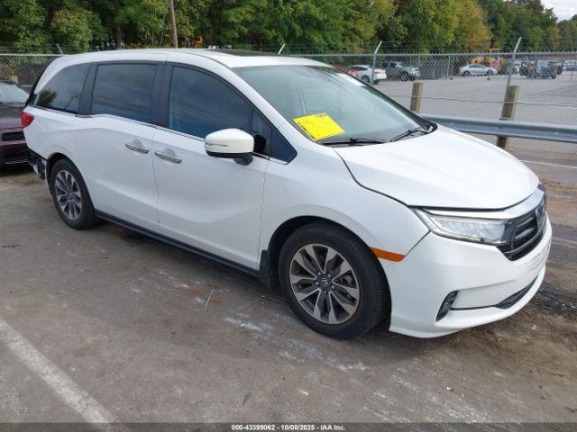  Salvage Honda Odyssey