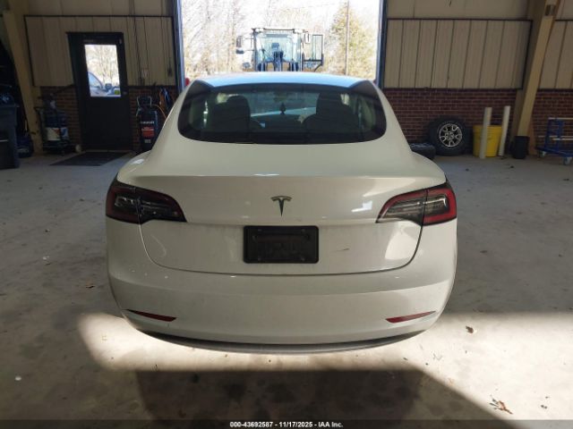 Tesla Model 3 Rear-wheel Drive Image 18