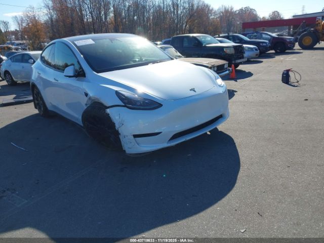 Tesla Model Y Image 1
