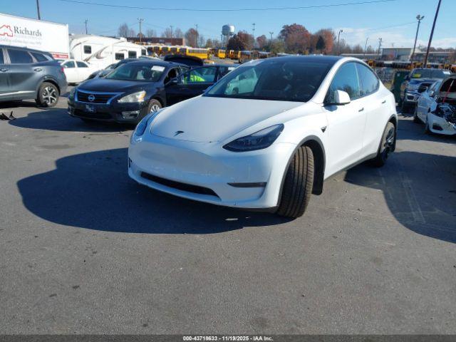 Tesla Model Y Image 7