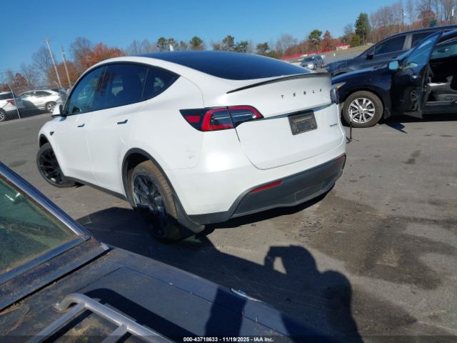 Tesla Model Y Image 6