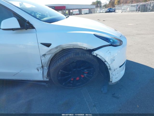 Tesla Model Y Image 9