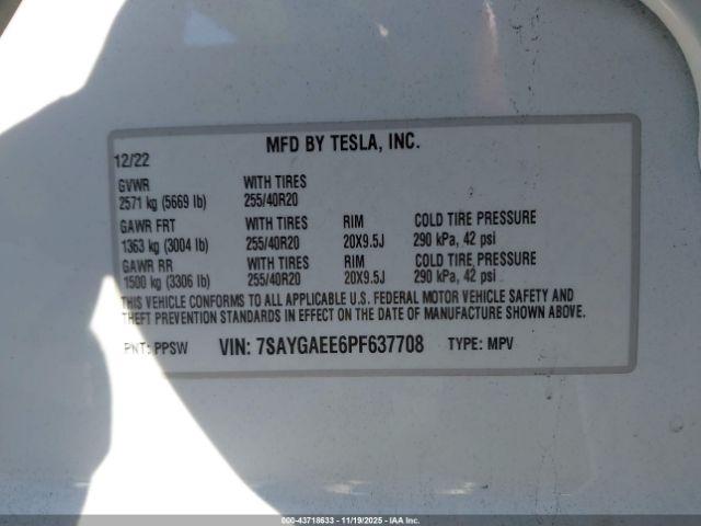 Tesla Model Y Image 5