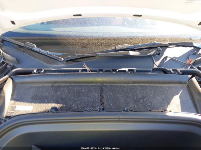 Tesla Model Y Image 4