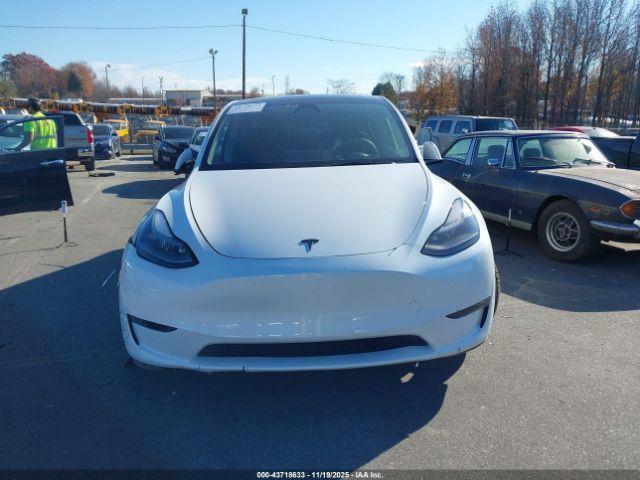 Tesla Model Y Image 15
