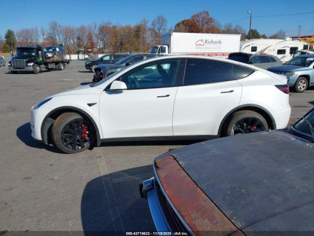 Tesla Model Y Image 14