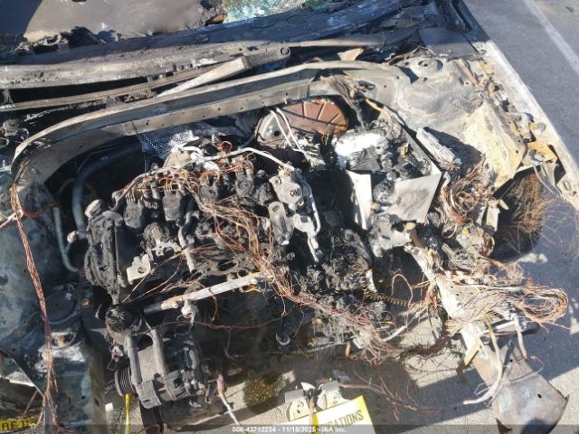 Volkswagen Golf Image 8