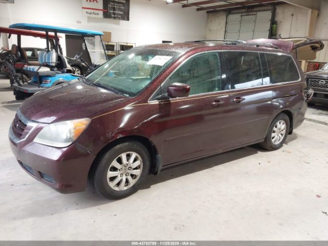 Honda Odyssey Ex Image 2