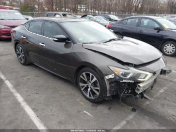  Salvage Nissan Maxima