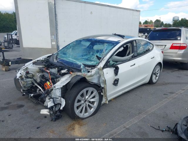 Tesla Model 3 Rear-wheel Drive Image 15