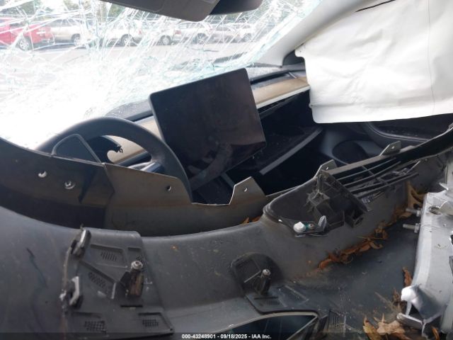 Tesla Model 3 Rear-wheel Drive Image 4