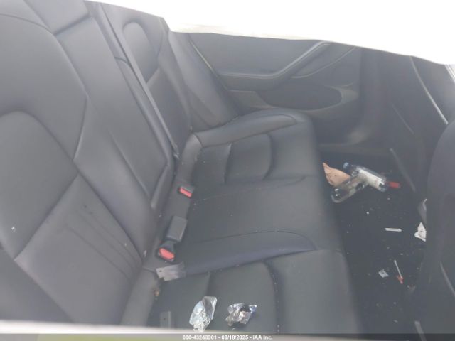 Tesla Model 3 Rear-wheel Drive Image 6