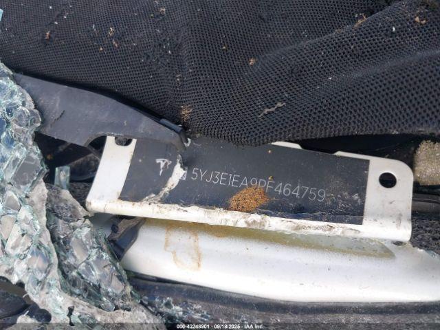 Tesla Model 3 Rear-wheel Drive Image 5