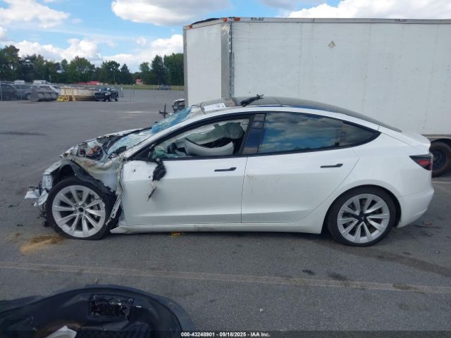 Tesla Model 3 Rear-wheel Drive Image 12
