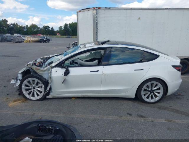 Tesla Model 3 Rear-wheel Drive Image 12