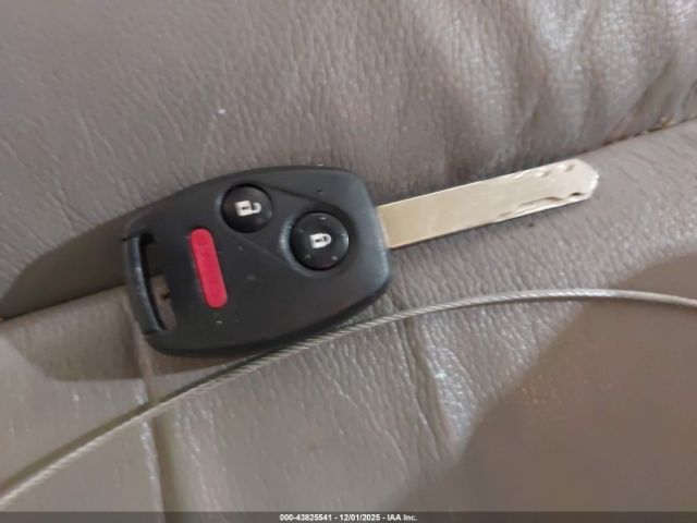 Honda CR-V Ex-l Image 13